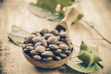 kurutulmuş kapsül Sacha InChI fıstık sepeti meyve tohumları