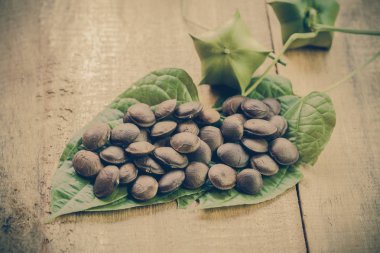 kurutulmuş kapsül Sacha InChI fıstık tabak meyve tohumları