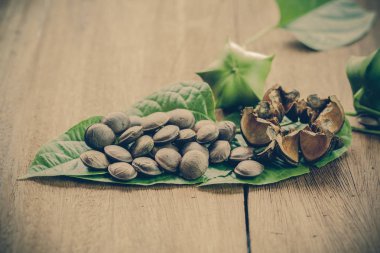 kurutulmuş kapsül Sacha InChI fıstık tabak meyve tohumları 