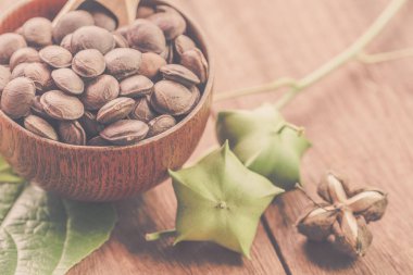 kurutulmuş kapsül Sacha InChI fıstık tabak meyve tohumları