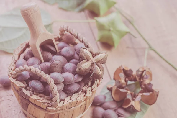 dried capsule seeds fruit of Sacha Inchi peanut in basket