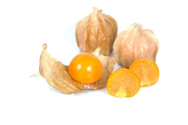 Böğürtlen Burnu, beyaz arka planda izole edilmiş bitki örtüsü.