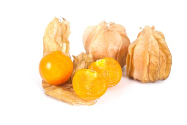 Böğürtlen Burnu, beyaz arka planda izole edilmiş bitki örtüsü.