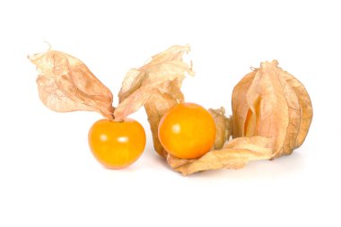 Böğürtlen Burnu, beyaz arka planda izole edilmiş bitki örtüsü.