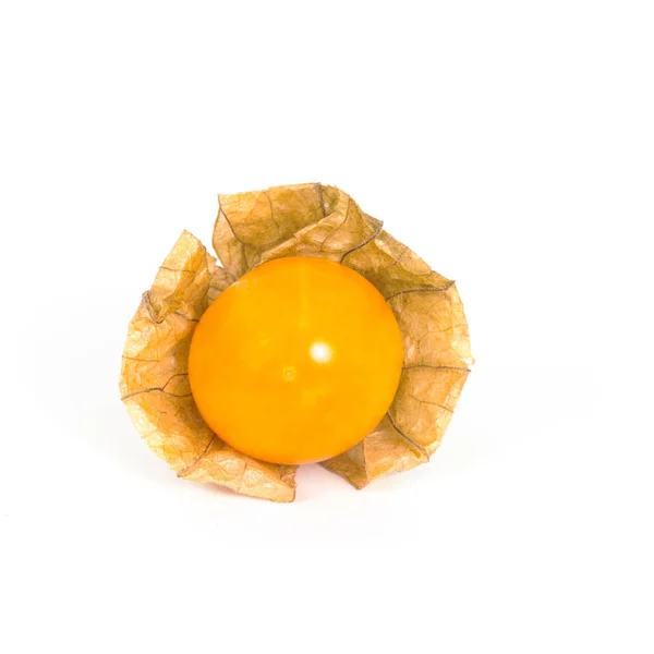 Cape gooseberry, physalis isolated on white background — Stock Photo, Image