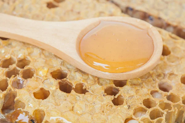 Close up honeycomb and honey on  background — Stock Photo, Image