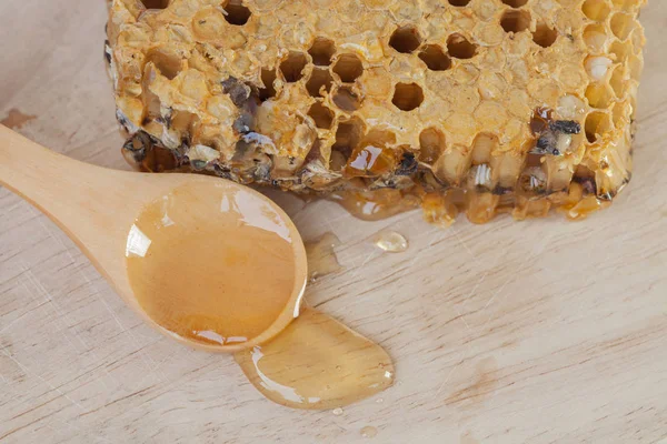 Εσωτερικη κηρήθρα και μέλι σε φόντο — Φωτογραφία Αρχείου