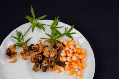 deniz gıda tatlı istiridye yemek üzerinde kurutulmuş