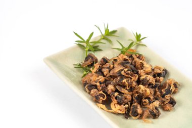 deniz gıda tatlı istiridye beyaz zemin üzerine kurutulmuş