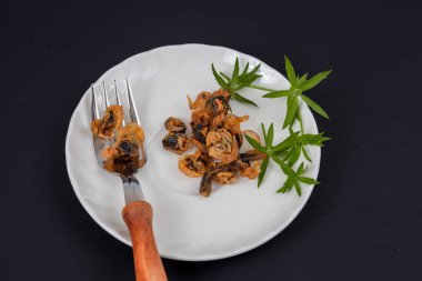 deniz gıda tatlı çanak üzerinde istiridye çatalı kurutulmuş.