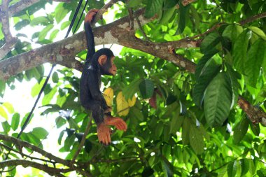 maymun oyuncak ormandaki