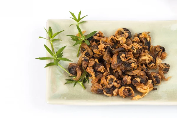 deniz gıda tatlı istiridye beyaz zemin üzerine kurutulmuş