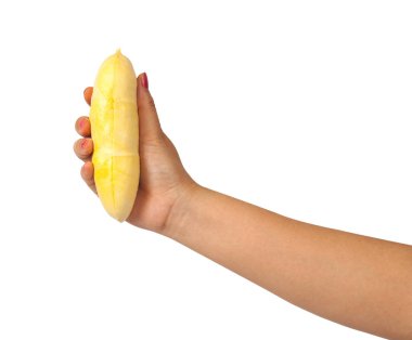 holdding tazelik durian meyve beyaz zemin üzerine el