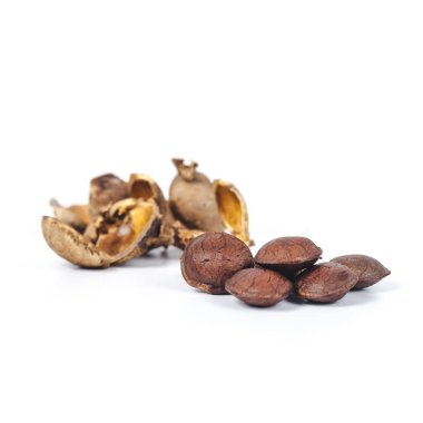  Inca fıstık beyaz zemin üzerine kuru