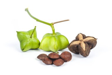 taze ve kuru Inca fıstık beyaz arka plan üzerinde