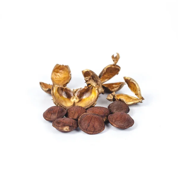 Dry Inca peanut on white background — Stock Photo, Image