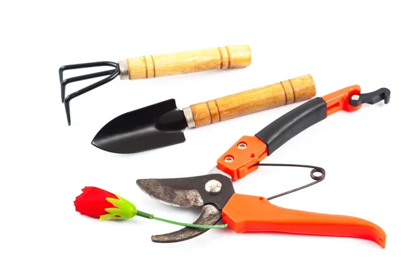 白色 backgroun 剪树枝和园艺工具的旧剪刀 — 图库照片