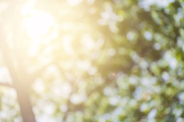 soyut bokeh arka plan, dikkatimi bulanık ışıklar