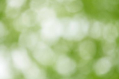 dikkatimi bulanık ışıklar yeşil bokeh arka plan, soyut