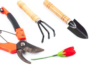 eski makas kesim şube ve beyaz adam Bahçe araç için