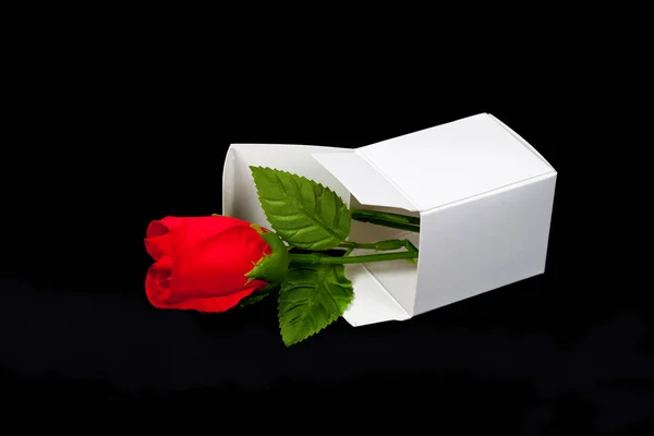 Rosa Vermelha Caixa Papel Branco Conceito Valentine — Fotografia de Stock