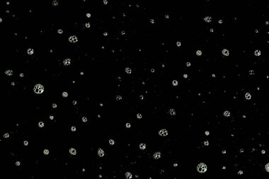 Soyut sabun köpüğü veya arkaplanda su damlası .