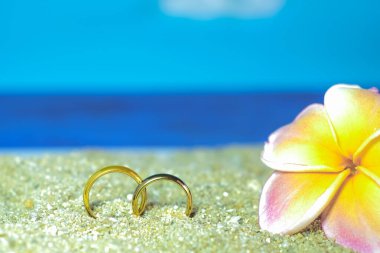 Duo Gold alyansı deniz sahilinde, düğün konsepti.