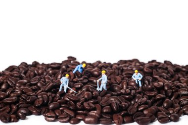 Minyatür işçiler beyaz taşra üzerinde taze kahve çekirdeği üzerinde çalışıyorlar.