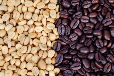 Açık alanda kahve fincanında çiğ kahve çekirdeği..