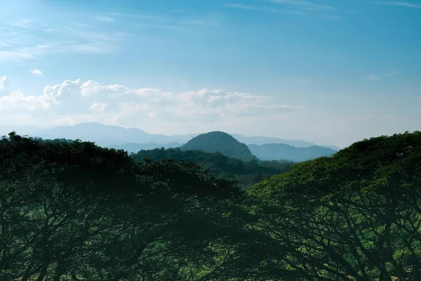 Nature paysage arbre et colline avec ciel bleu sur le fond . — Photo