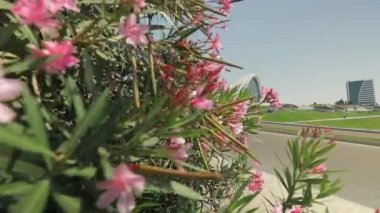 Heydar Aliyev Merkezi, Bakü, Azerbaycan.