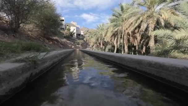 Système d'irrigation Aflaj dans un vieux village omani . — Video