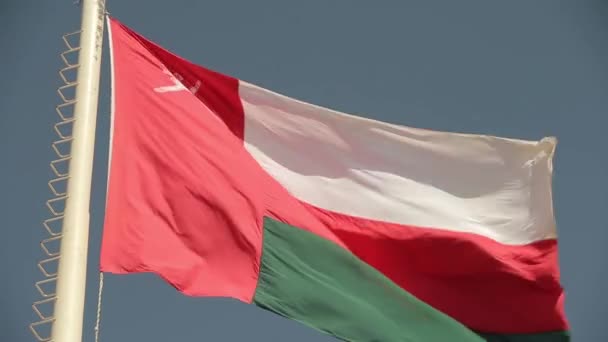 Oman flagga viftande mot himlen, perfekt för film, nyheter, digital sammansättning. — Stockvideo