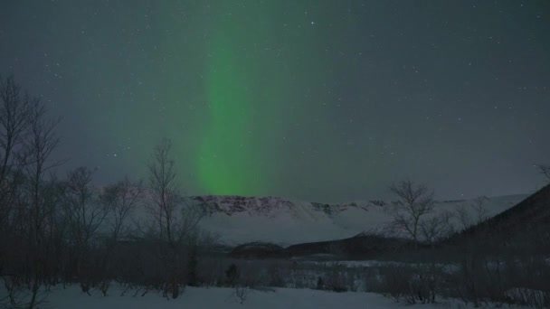 Color auroras boreales bailando en cielos oscuros y estrellas corriendo por el cielo . — Vídeo de stock