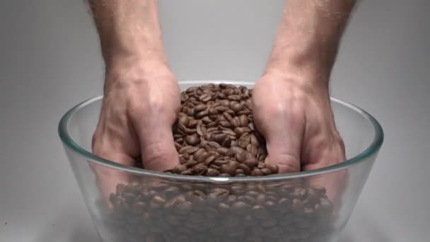 Granos de café en una gran taza transparente. Manos de hombre bajan a través de los granos — Vídeo de stock