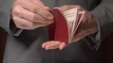 Gümrük memuru Rus pasaportunda vize olup olmadığını kontrol ediyor. Sadece insanın elleri.