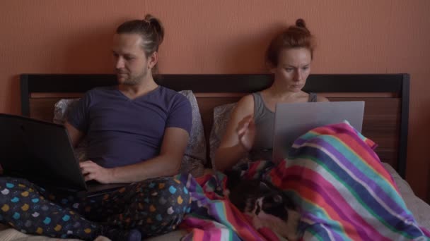 Evde çalışan bağımsız bir aile. Çift ve kedi yatağa uzanıp dizüstü bilgisayarlarla çalışıyorlar. — Stok video