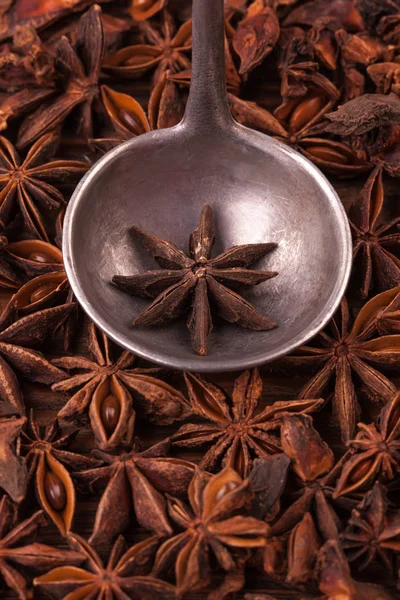 Spoon yıldız anasonunu yakalıyor.
