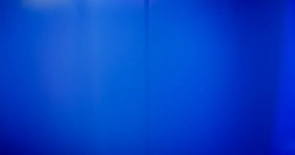 Blue Light Leaks Black Background Overlay Transition — Stock Video