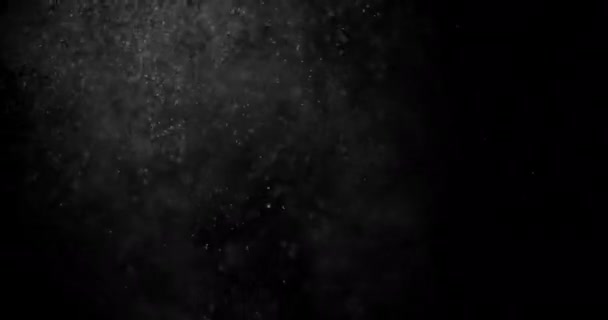 Sněhové Částice Prach Černém Pozadí Překryv — Stock video