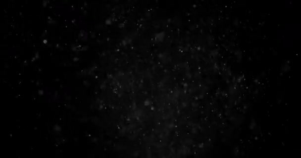 Kar Parçacıkları Kara Arkaplan Toz Üst Üste — Stok video