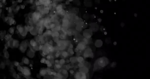 Sneeuwdeeltjes Stof Zwarte Achtergrond Overlay — Stockvideo