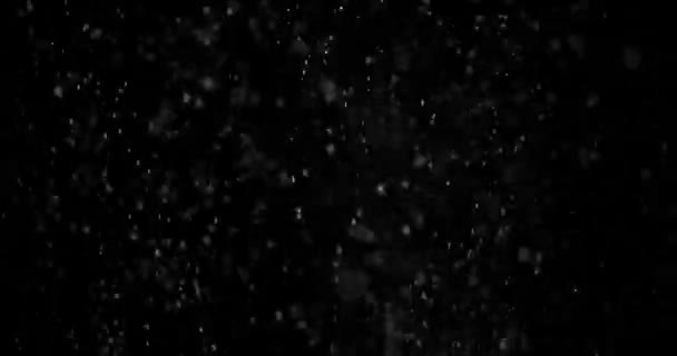 Σωματίδια Χιονιού Σκόνη Μαύρο Φόντο Επικάλυψη — Αρχείο Βίντεο