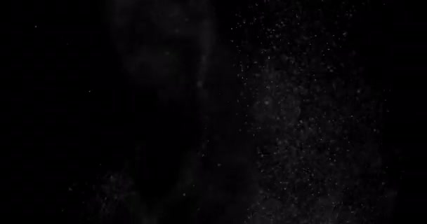Снежные Частицы Пыль Черном Фоне Накладывание — стоковое видео