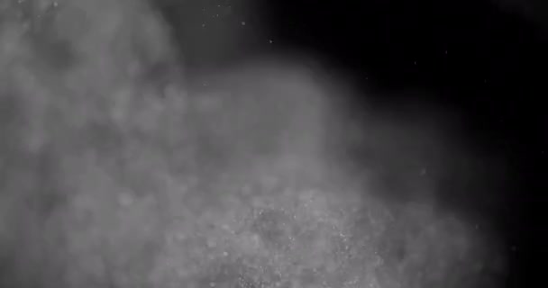 Particules Neige Poussière Sur Fond Noir Recouvrement — Video