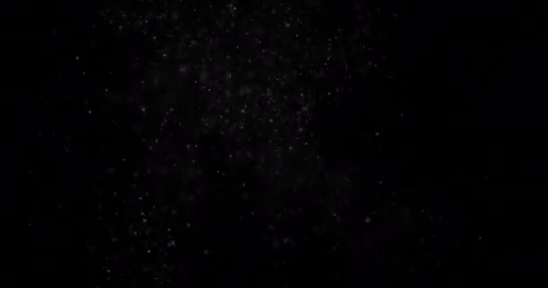 Schneeteilchen Staub Auf Schwarzem Hintergrund Überlagerung — Stockvideo