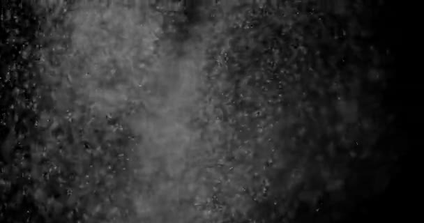 Schneeteilchen Staub Auf Schwarzem Hintergrund Überlagerung — Stockvideo