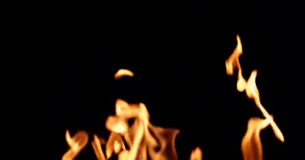 Огненная Стена Черном Фоне Накладывание — стоковое видео