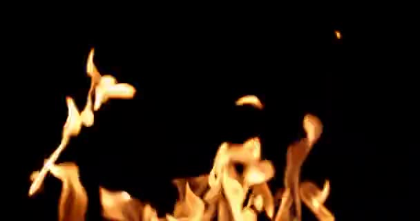 Огненная Стена Черном Фоне Накладывание — стоковое видео