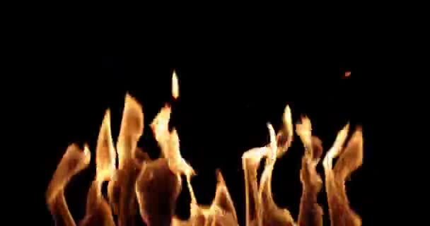 Wall Fire Zwarte Achtergrond Overlay — Stockvideo